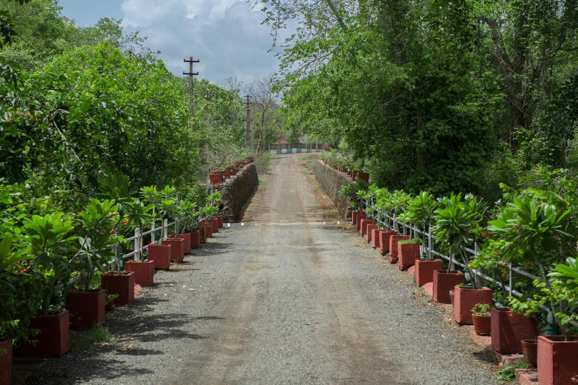 Gir Serai - Ihcl Seleqtions Sasan Gir Exterior photo